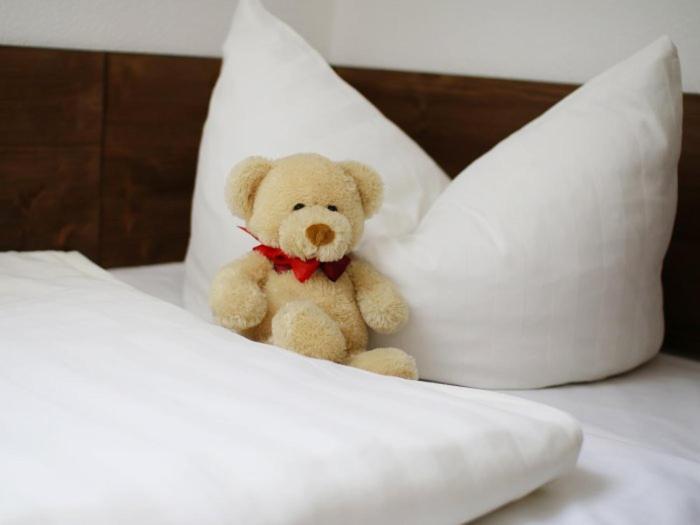 Landhotel & Reiterhof Schumann Triptis Экстерьер фото